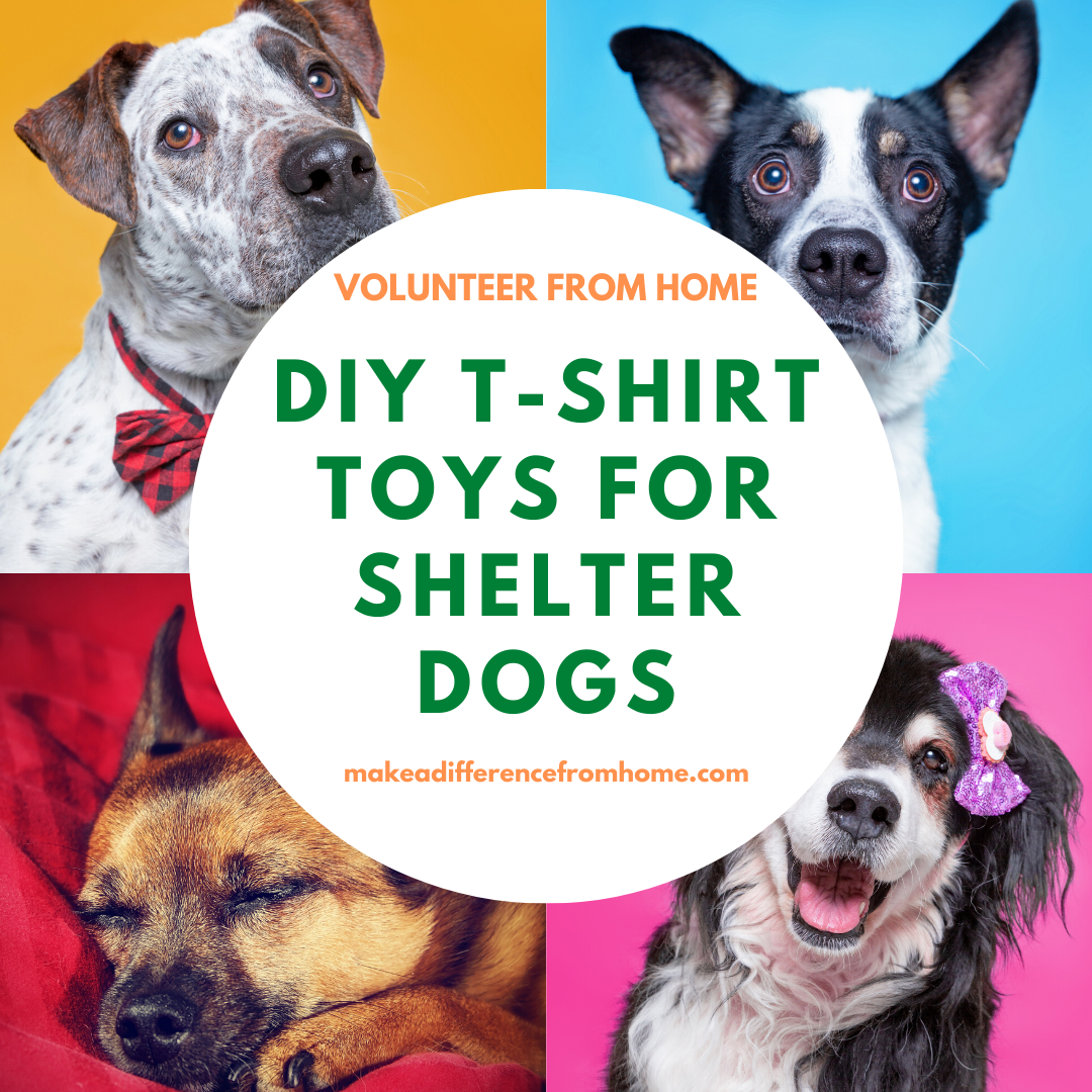 Volunteer From Home: DIY T-Shirt Toys for Shelter Dogs & Earn Community  Service Hours - Make a Difference From Home