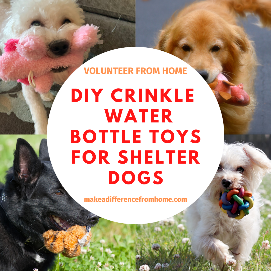 Diy Crinkle Water Bottle Toys